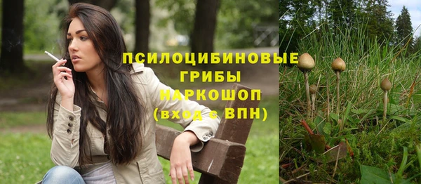 ALPHA PVP Надым